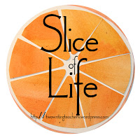 Slice Image